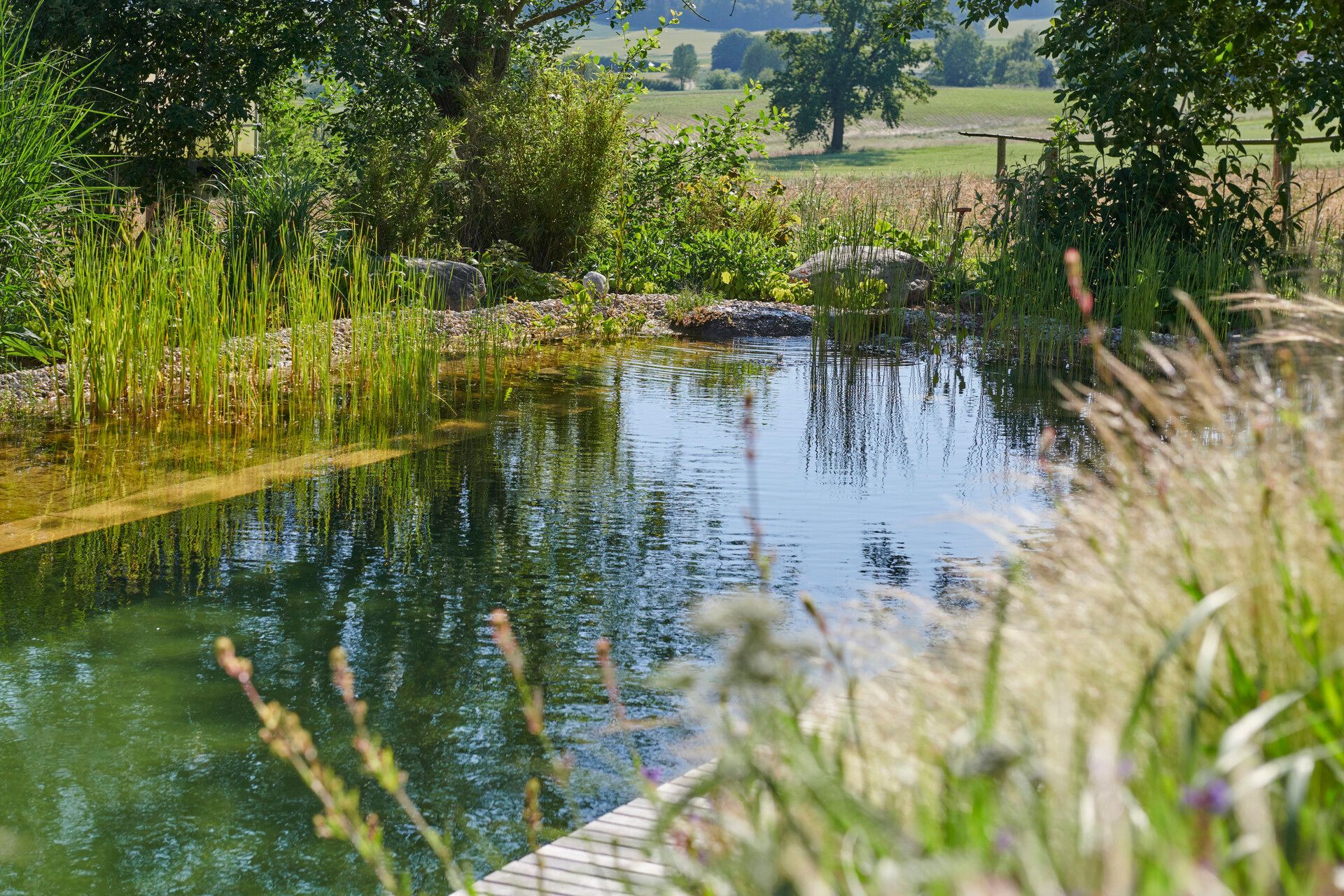 Beckmann & Püntener, stagno balneabile in giardino a Gordevio, progettazione, costruzione e manutenzione