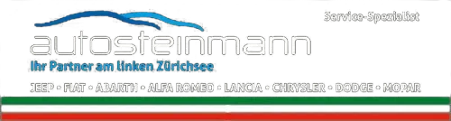 Ein Logo für eine Firma namens Autosteinmann