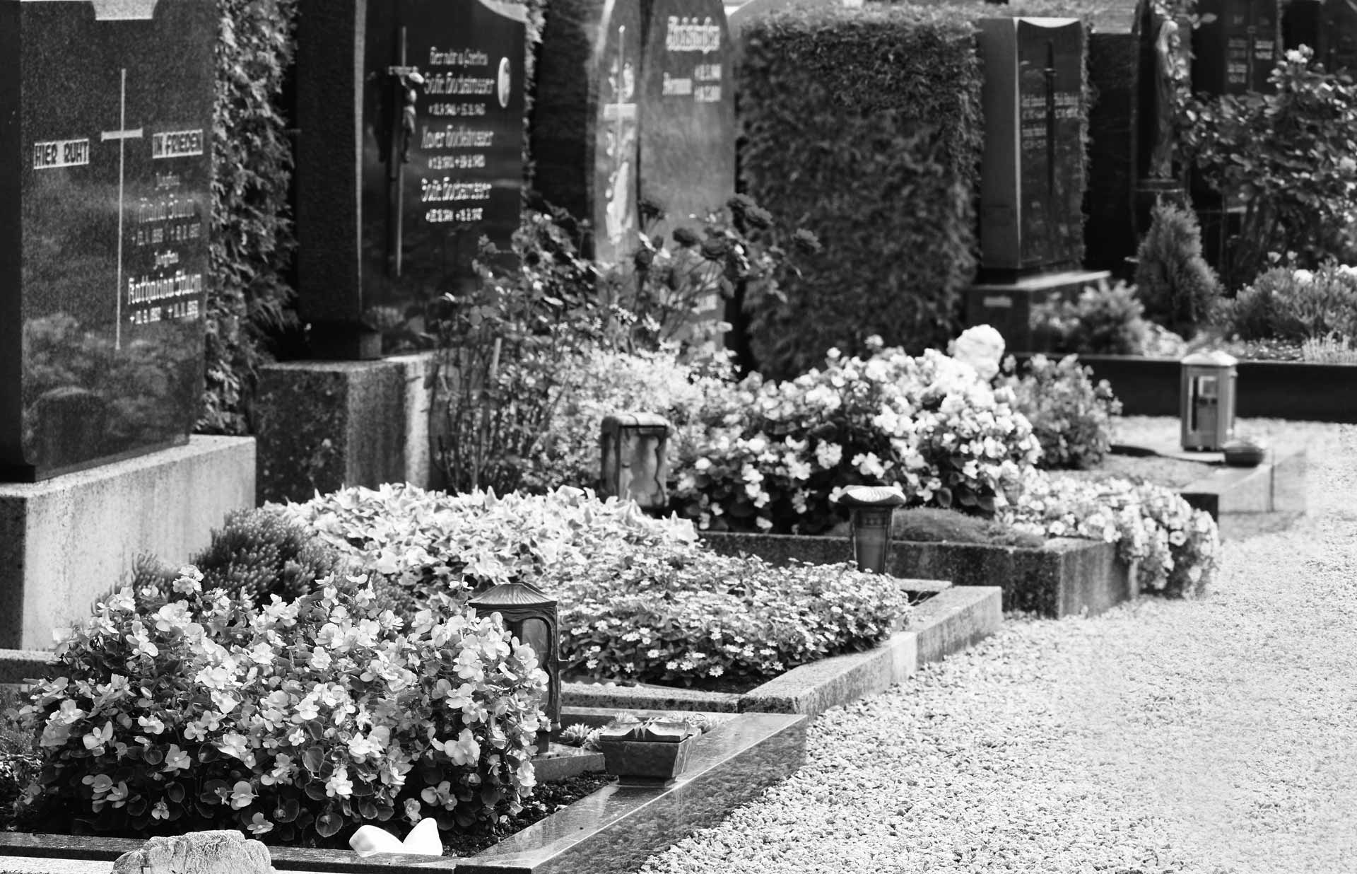 Un cimetière avec des sépultures fleuries