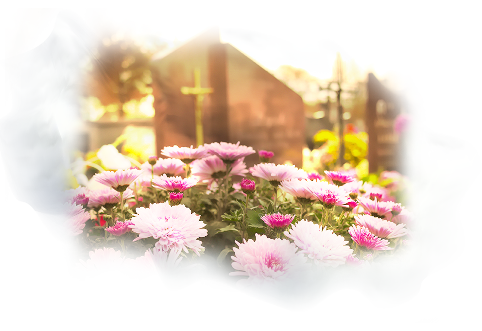 Fleurs naturelles sur fond de sépultures dans un cimetière