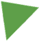 grünes Dreick icon