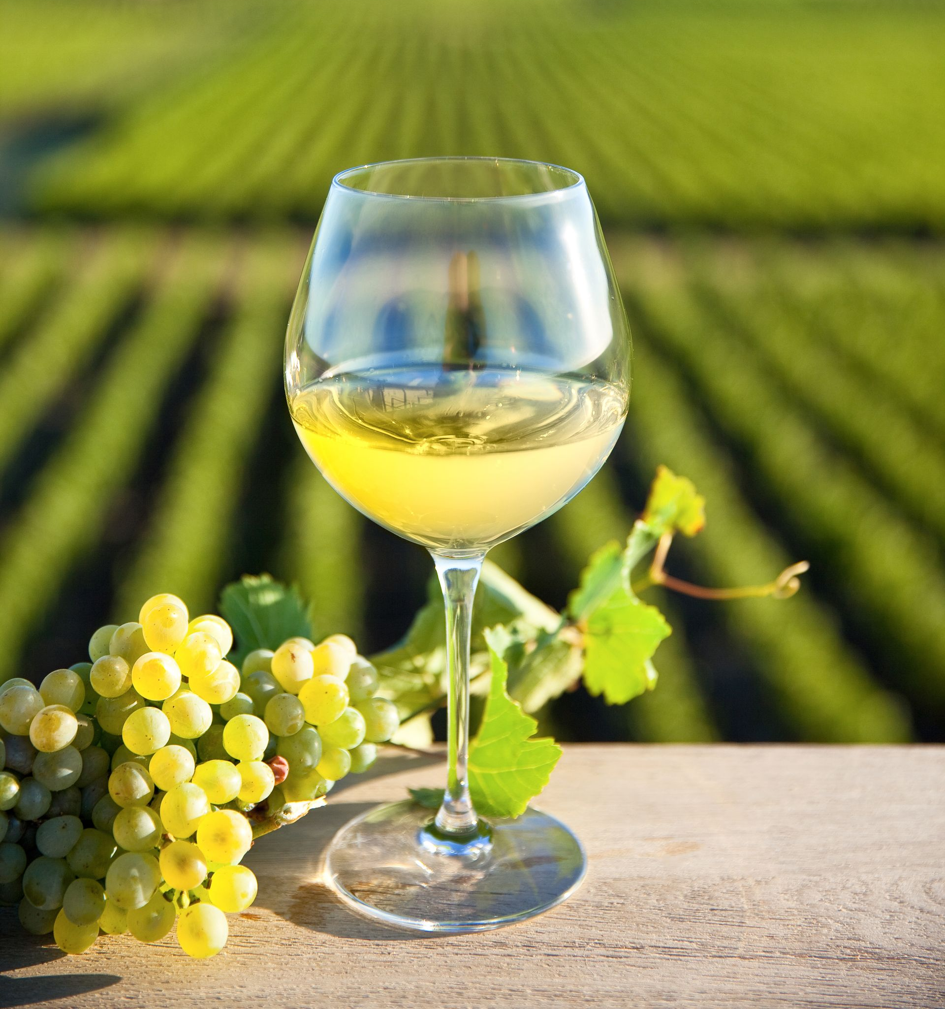 Un verre de vin blanc et des raisins verts posés sur une surface en bois, avec un vignoble en arrière-plan flou.