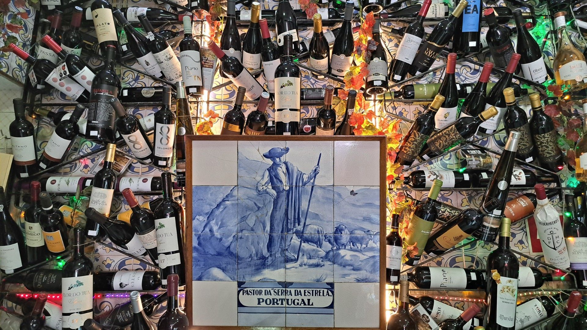 vinhos e azeites Casa Lourenço