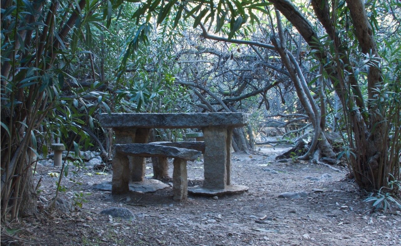 Una mesa de picnic de piedra en medio de un bosque