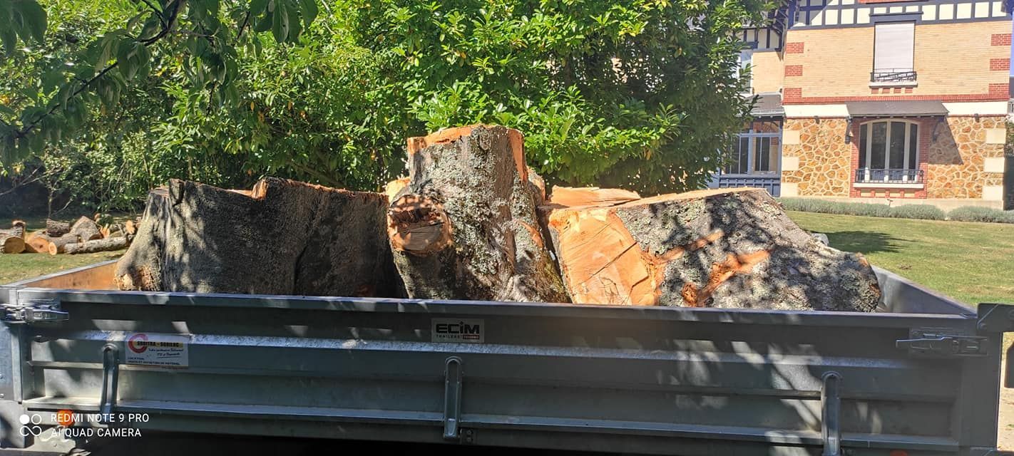 Des rondins de bois dans une remorque.