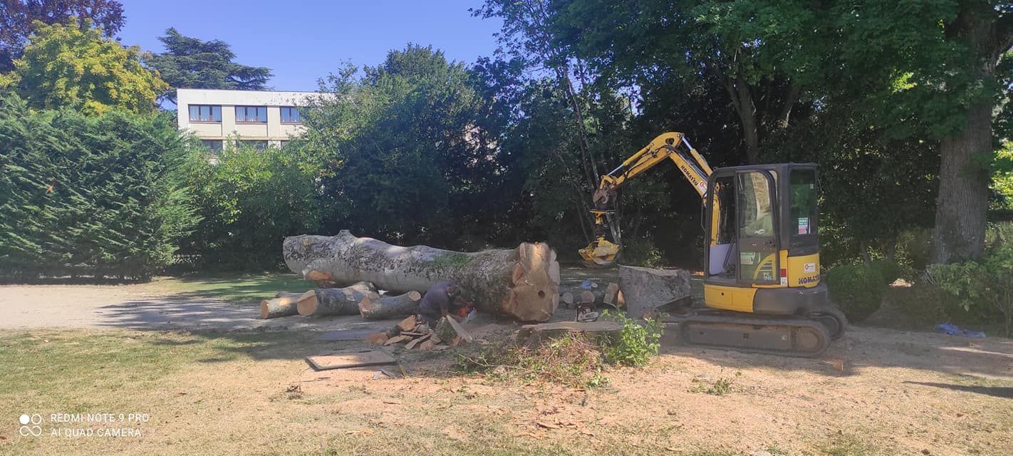 Un tronc d'arbre et une machine.