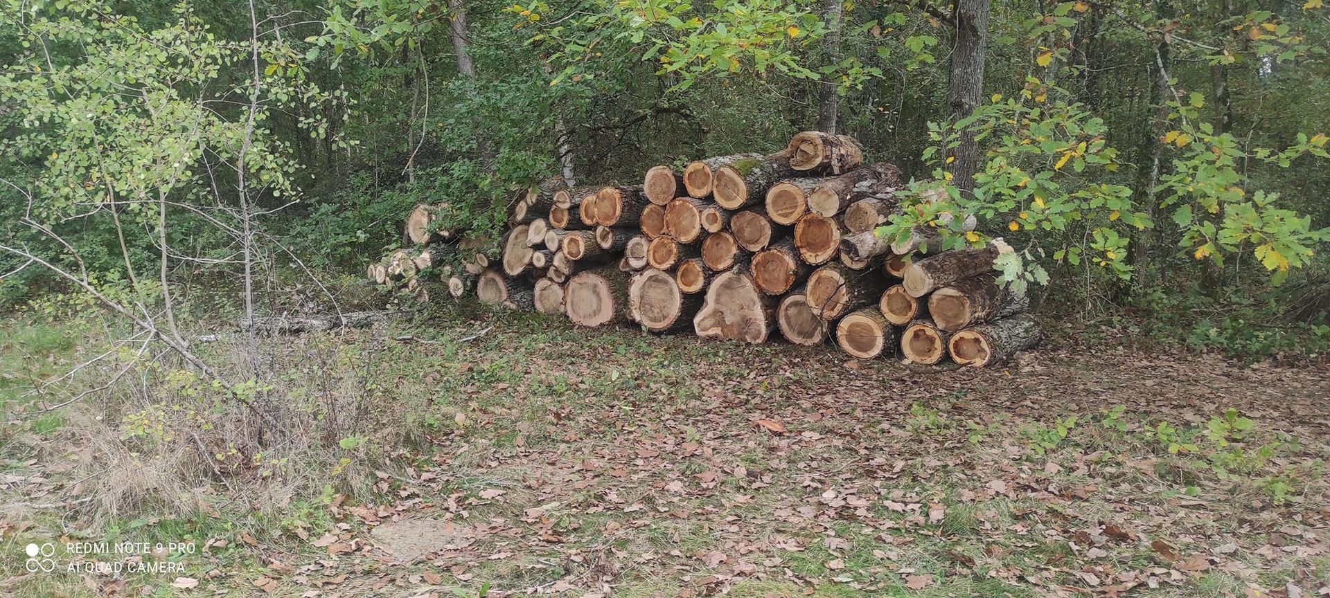 Des rondins de bois.