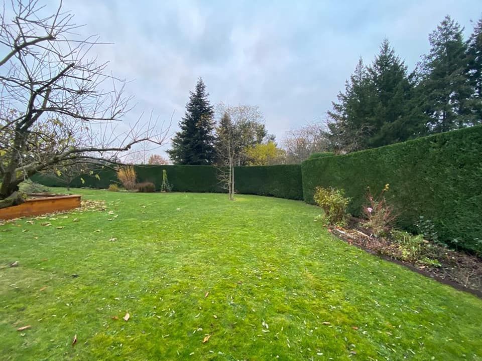 Un jardin.