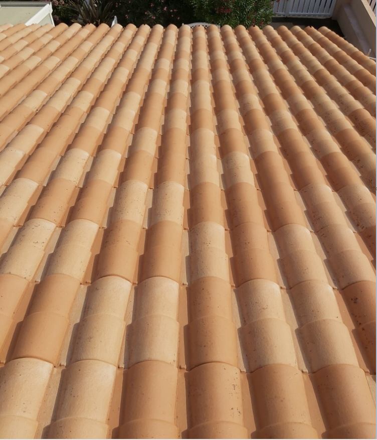 Démoussage de la toiture