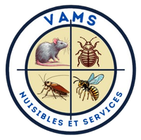 Logo de l'entreprise VAMS Nuisibles et Services.