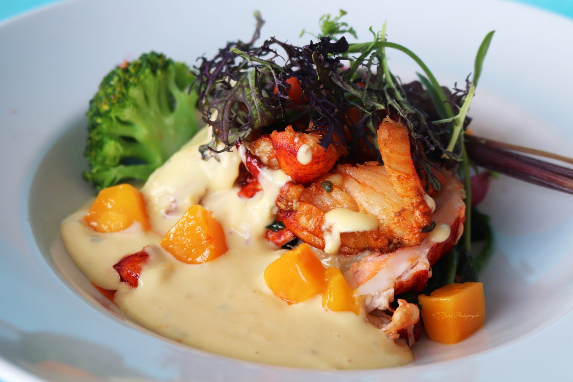 Dégustation plat gastro