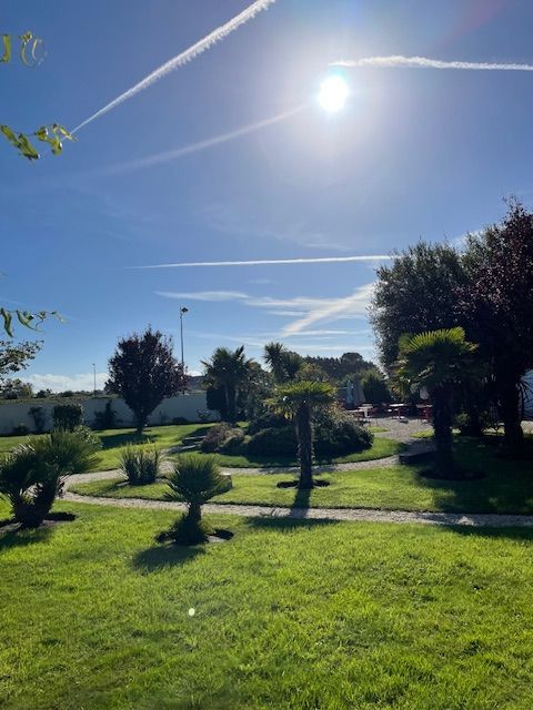 Jardin de l'hôtel avec de nombreux arbres
