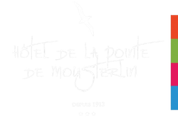 Logo Hôtel de la Pointe