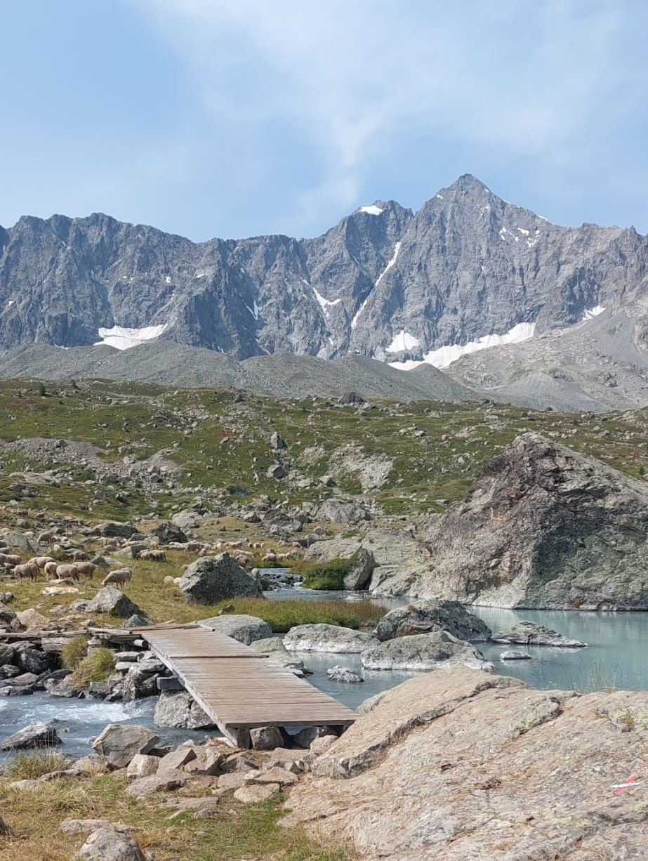 Vue sur une montagne et un ponton en bois