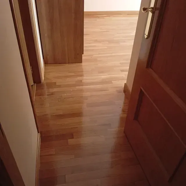 Un pasillo con suelo de madera y una puerta.