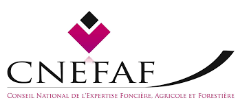 Logo CNEFAF