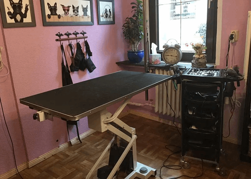Hundesalon Fussel