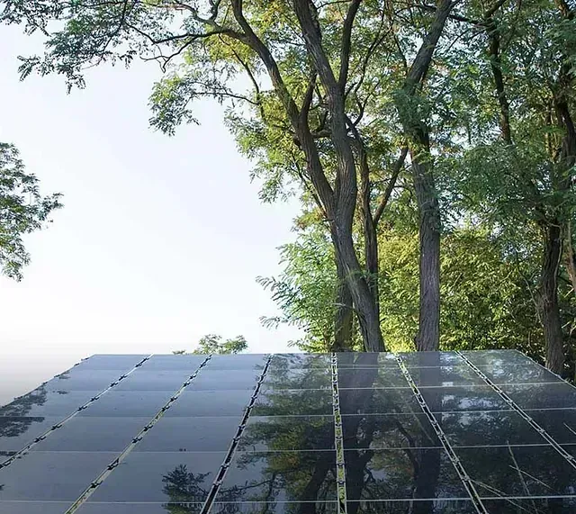 Paneles solares bajo los árboles, reflejando el cielo y el follaje.