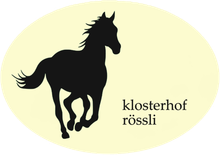 Restaurant Klosterhof Rössli, Irin Tek