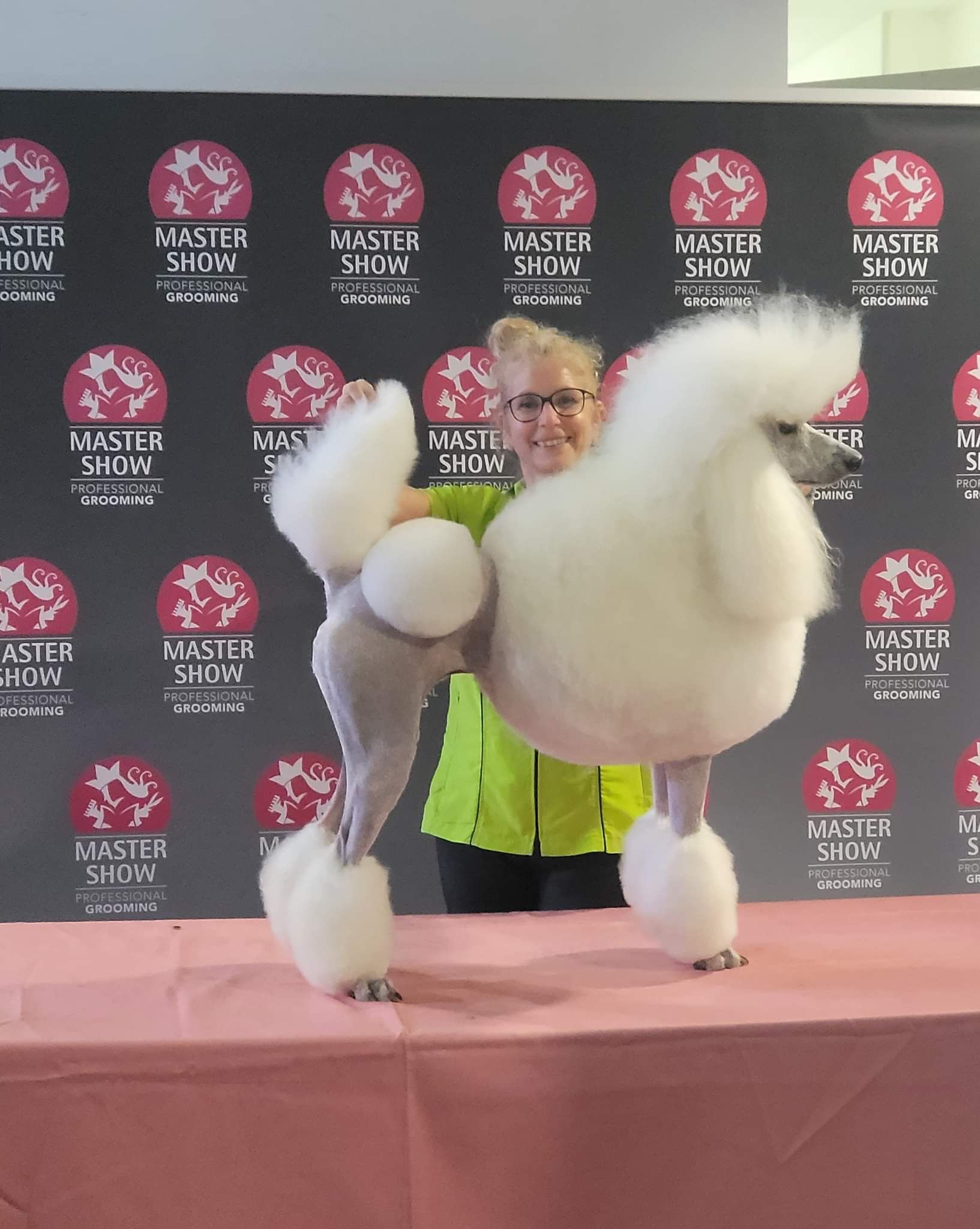 Un caniche toiletté, en position de concours, sur une table avec son maître, devant un décor « Master Show ».
