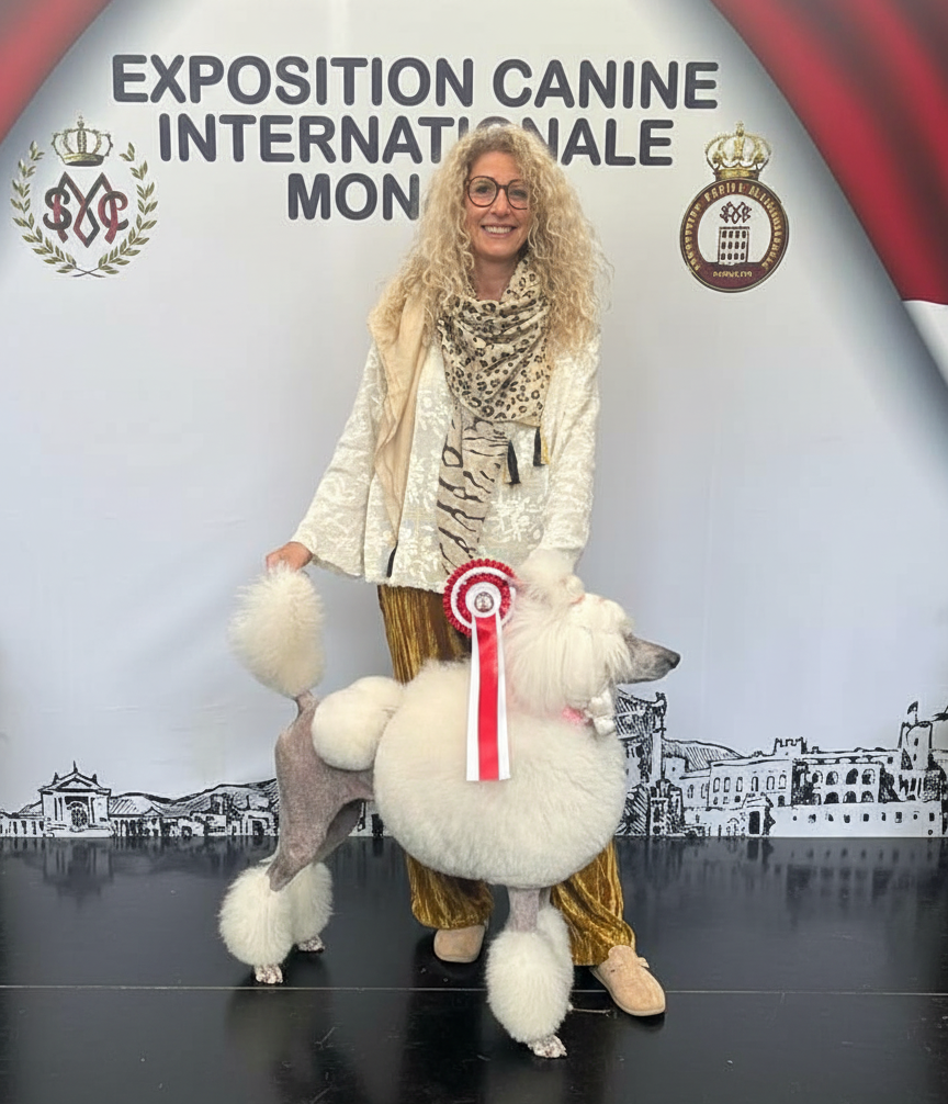 Femme avec un caniche à une exposition canine ; pelage blanc, bordures grises. Ruban de récompense, décor de scène, logo.