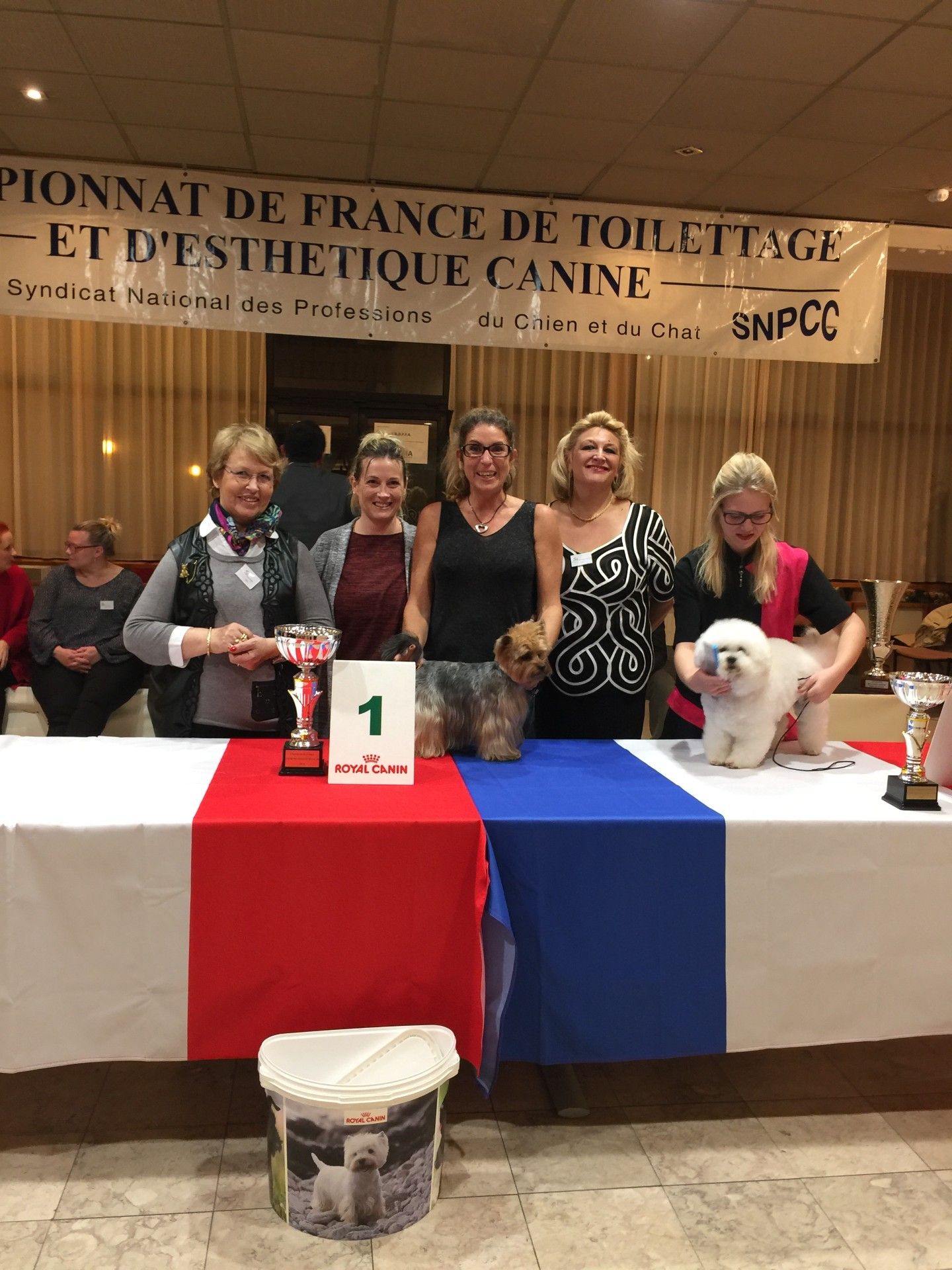 Des personnes et des chiens lors d'un concours de toilettage canin. On aperçoit le trophée et la banderole