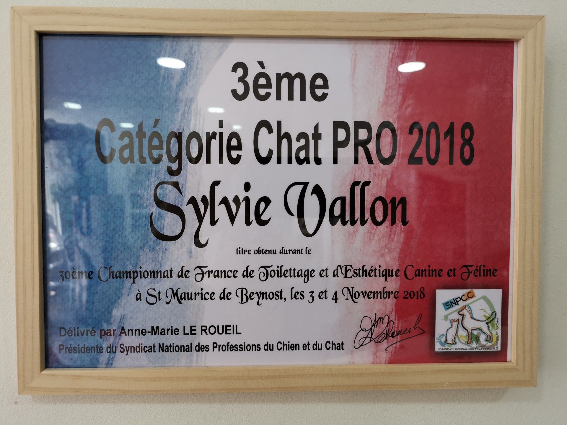 Certificat encadré pour Sylvie Vallon, 3ème place dans la catégorie « Chat PRO 2018 », avec drapeau français en fond.
