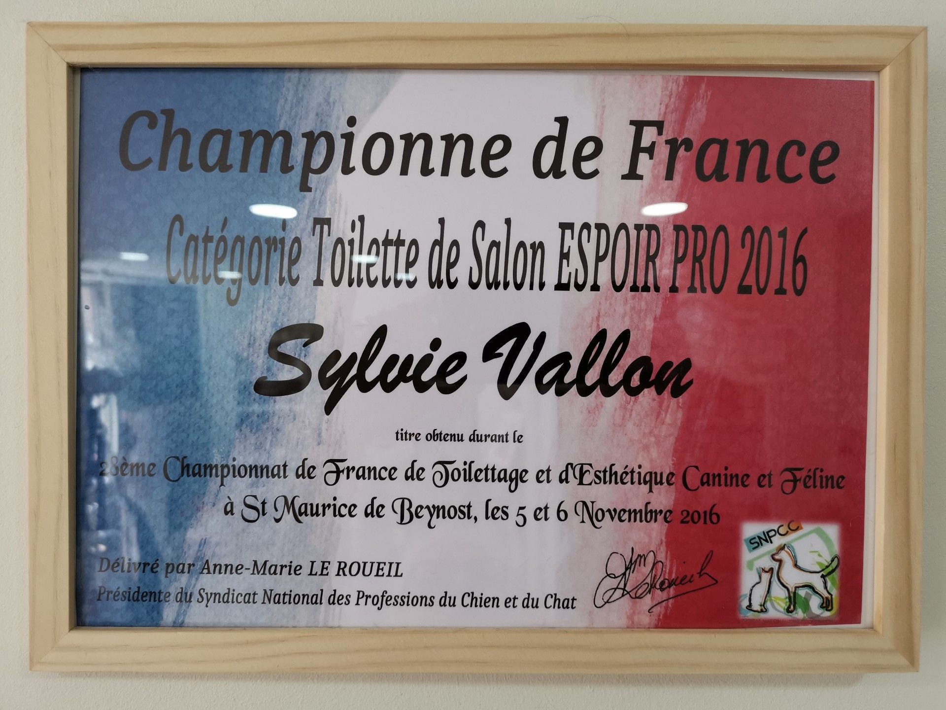 Certificat encadré : Championne de France de toilettage canin, Sylvie Vallon, 2016. Fond drapeau français.