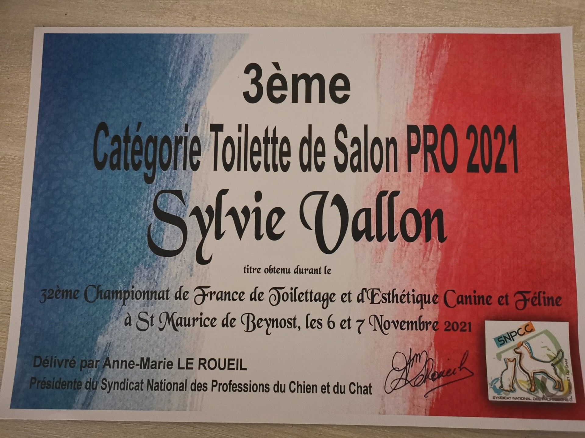 Certificat pour Sylvie Vallon, 3ème place dans la catégorie salon de toilettage canin PRO 2021, France.
