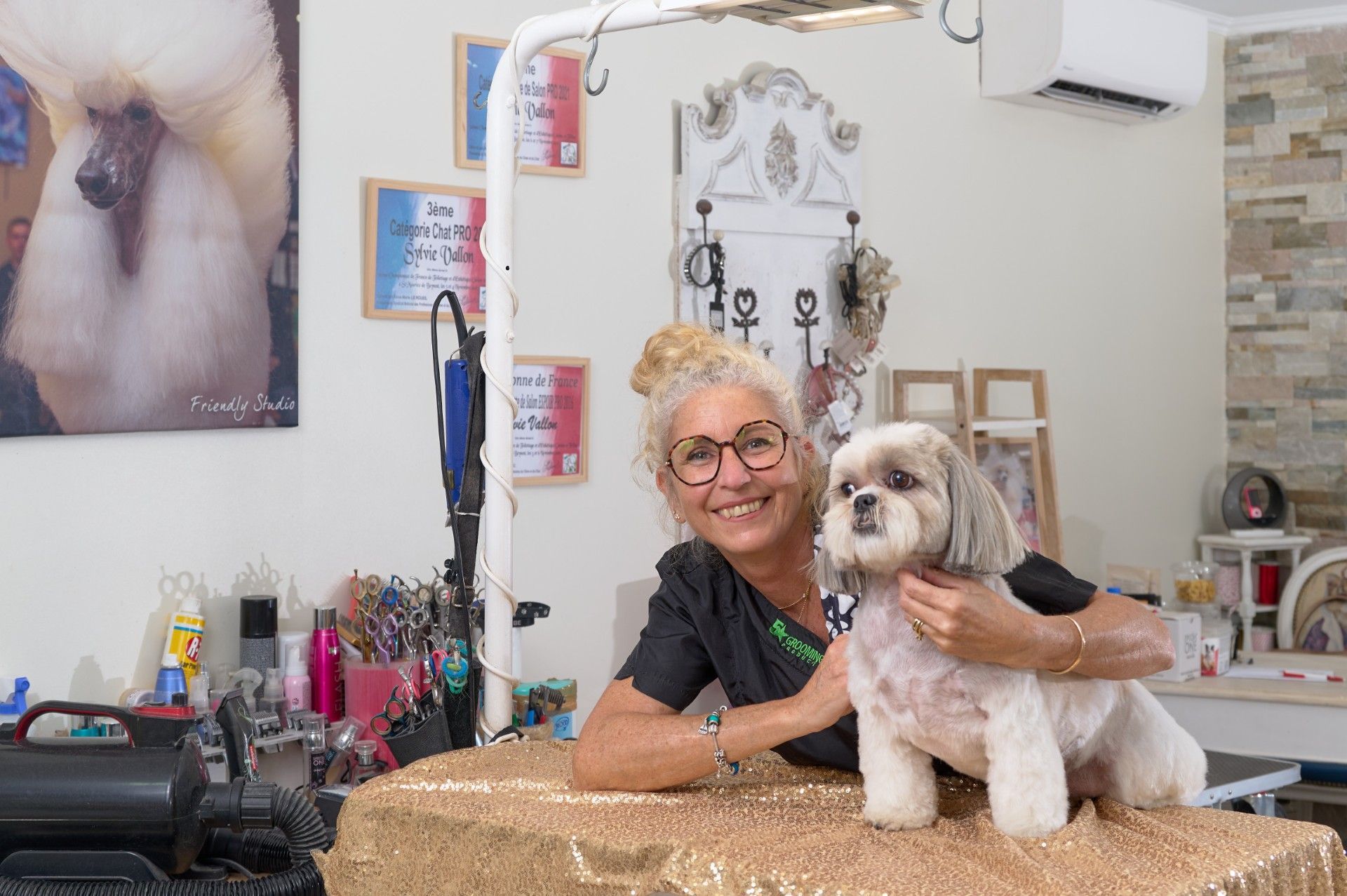 Dans un salon de toilettage, une toiletteuse sourit devant un chien à poil court et duveteux, allongé sur une table dorée.