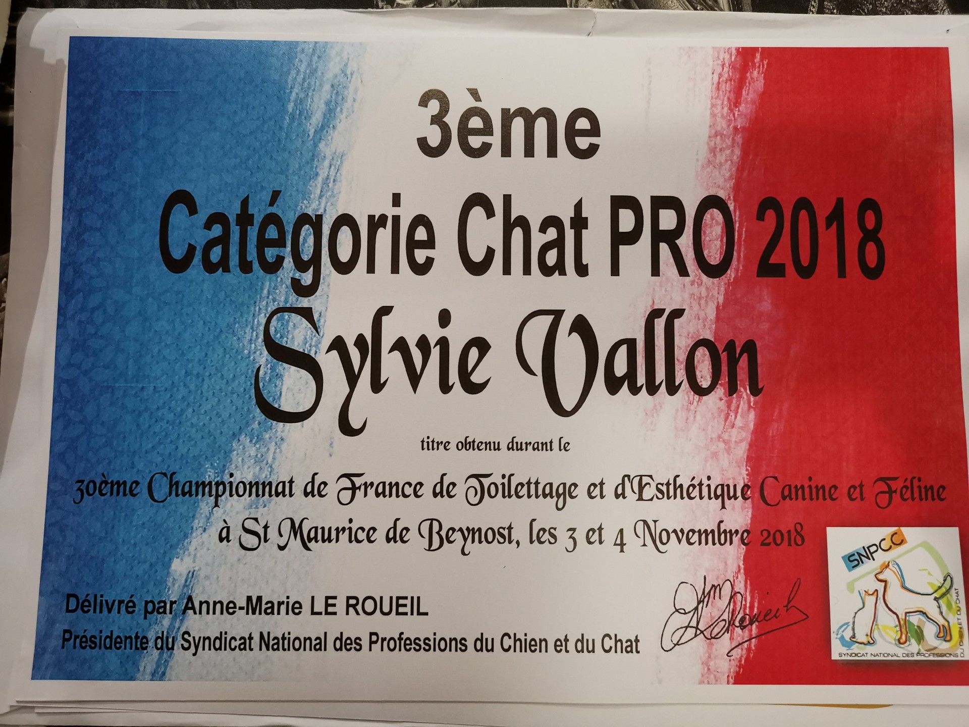 Certificat pour Sylvie Vallon, 3ème place, Cat PRO 2018, aux couleurs du drapeau français.