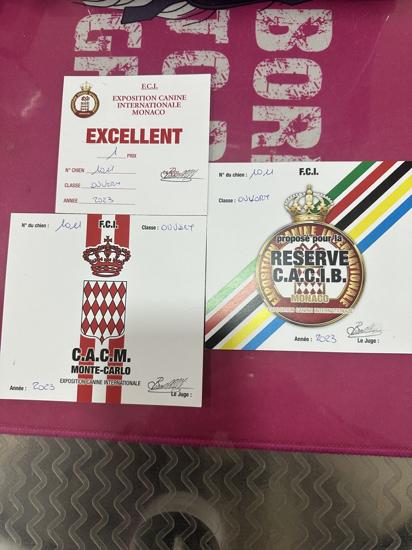 Quatre documents : deux avec des couronnes et du texte, un certificat « EXCELLENT », un avec un emblème circulaire.