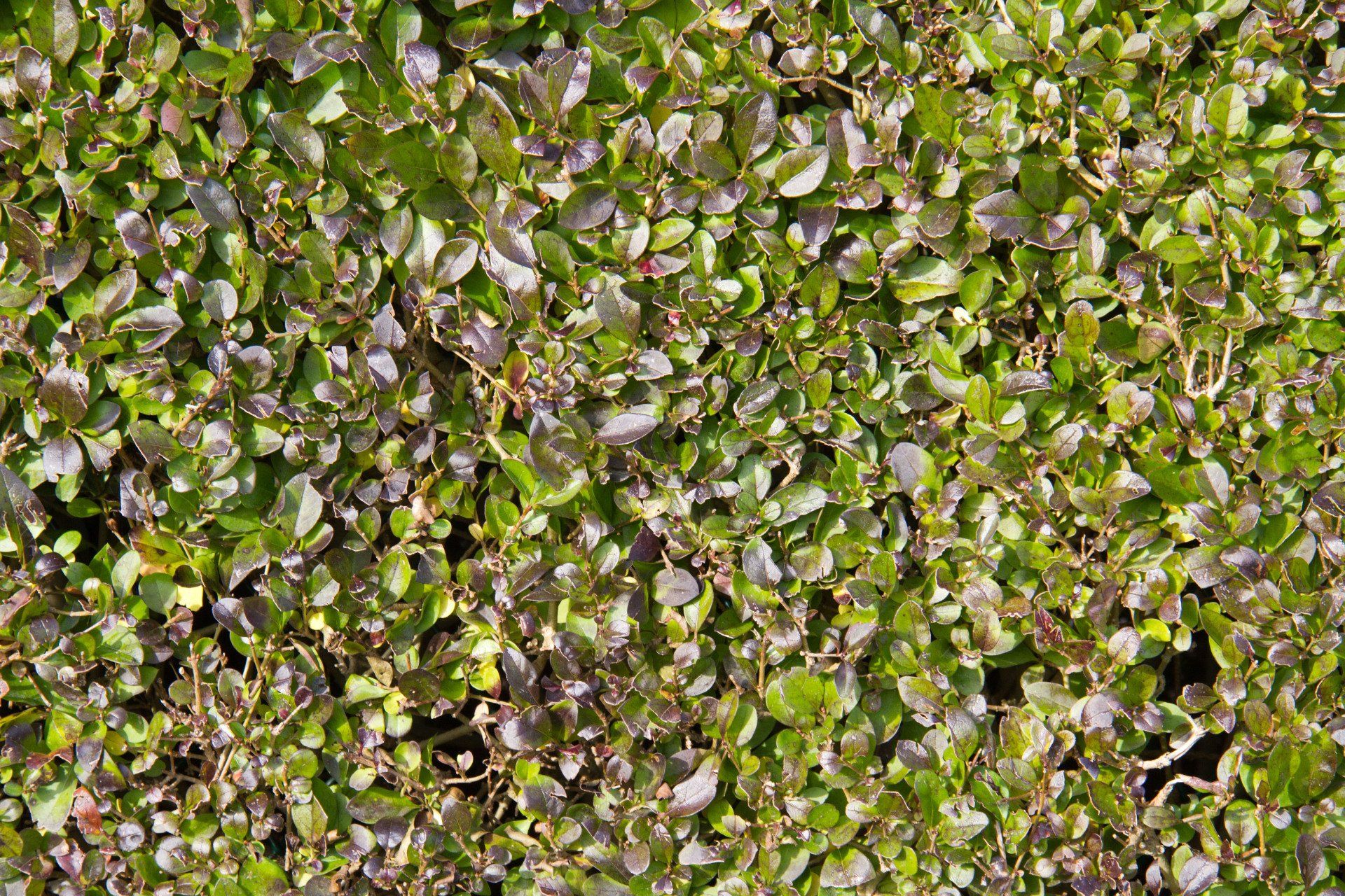 Aménagement et petits travaux de voirie