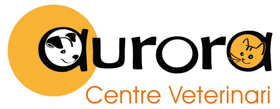 logotipo cabecera
