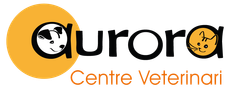 logotipo cabecera