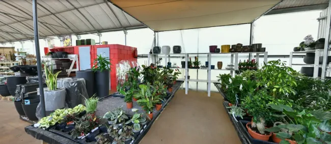 Un invernadero lleno de muchas plantas en macetas.