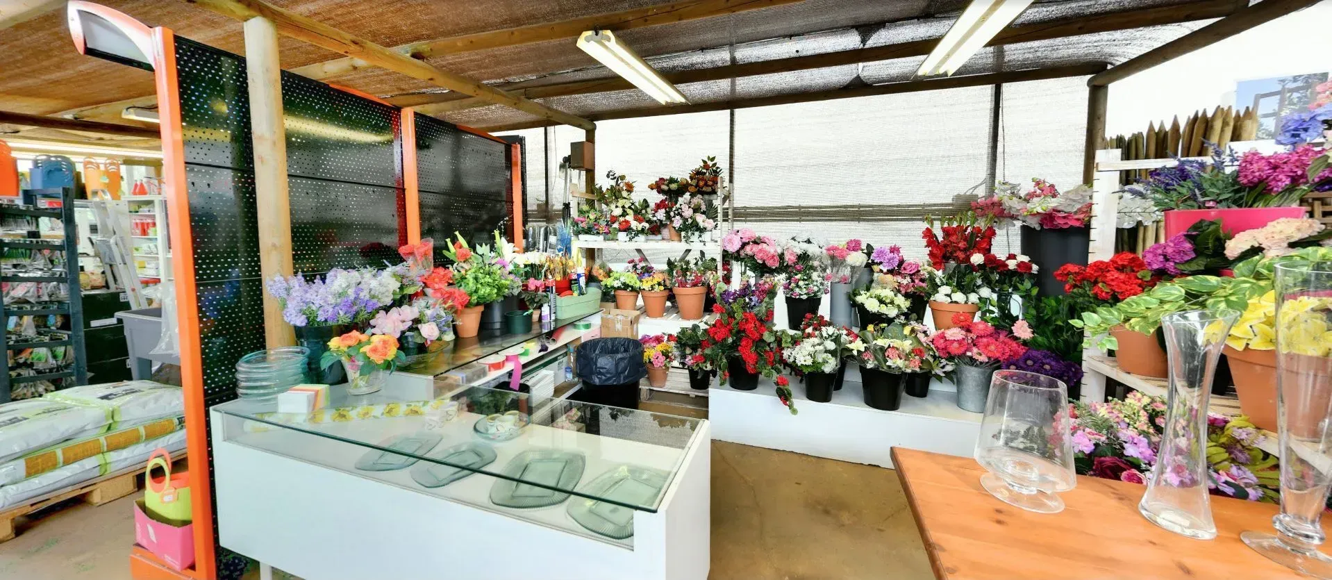 Una tienda llena de muchas plantas en macetas y flores.