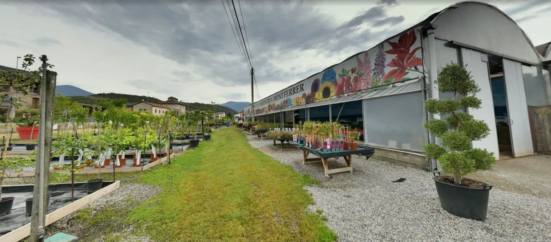 Un gran edificio con muchas plantas en macetas en el frente.