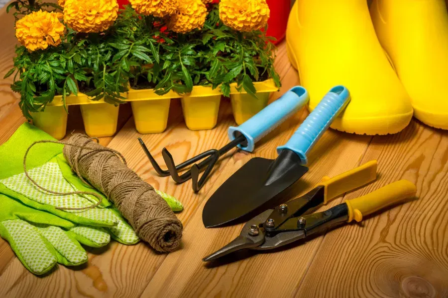 Un montón de herramientas de jardinería están sobre una mesa de madera.