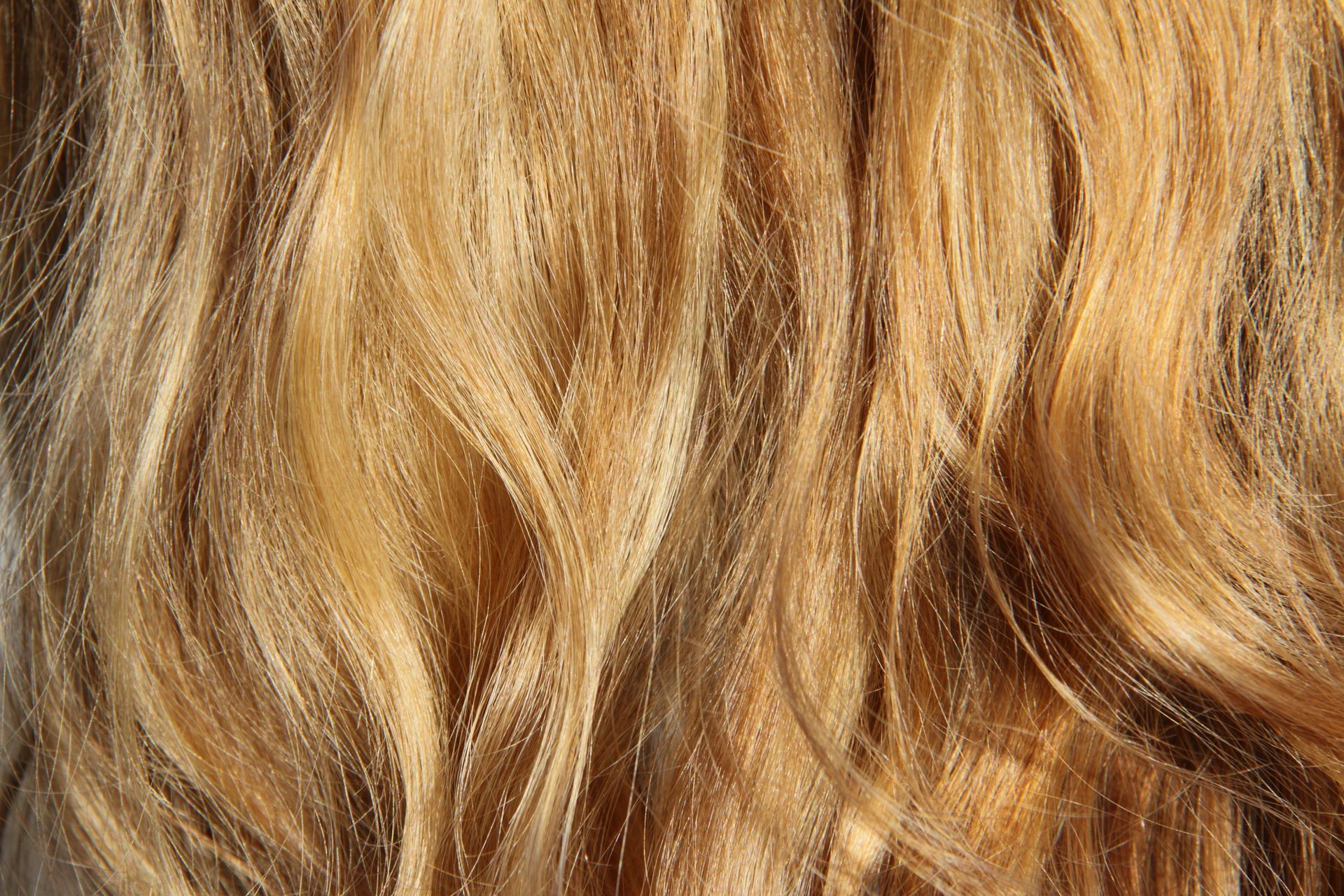 Gros plan sur des cheveux blonds clairs ondulés, dont certaines mèches captent la lumière et paraissent dorées.