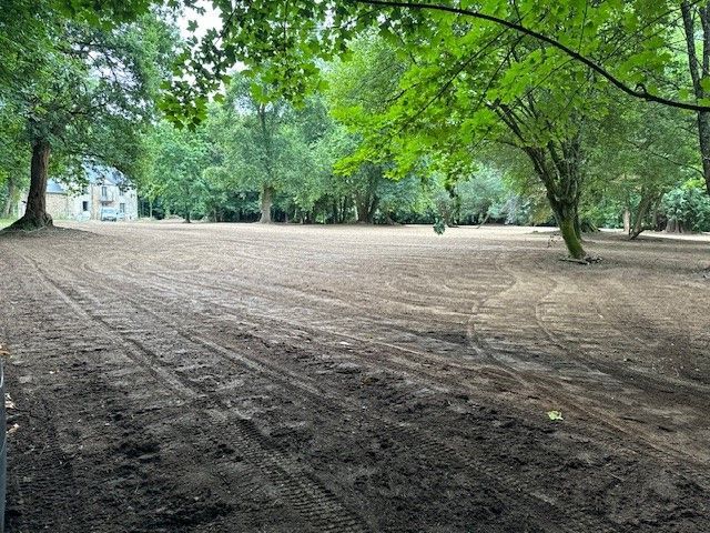 Nivellement d'un terrain arboré