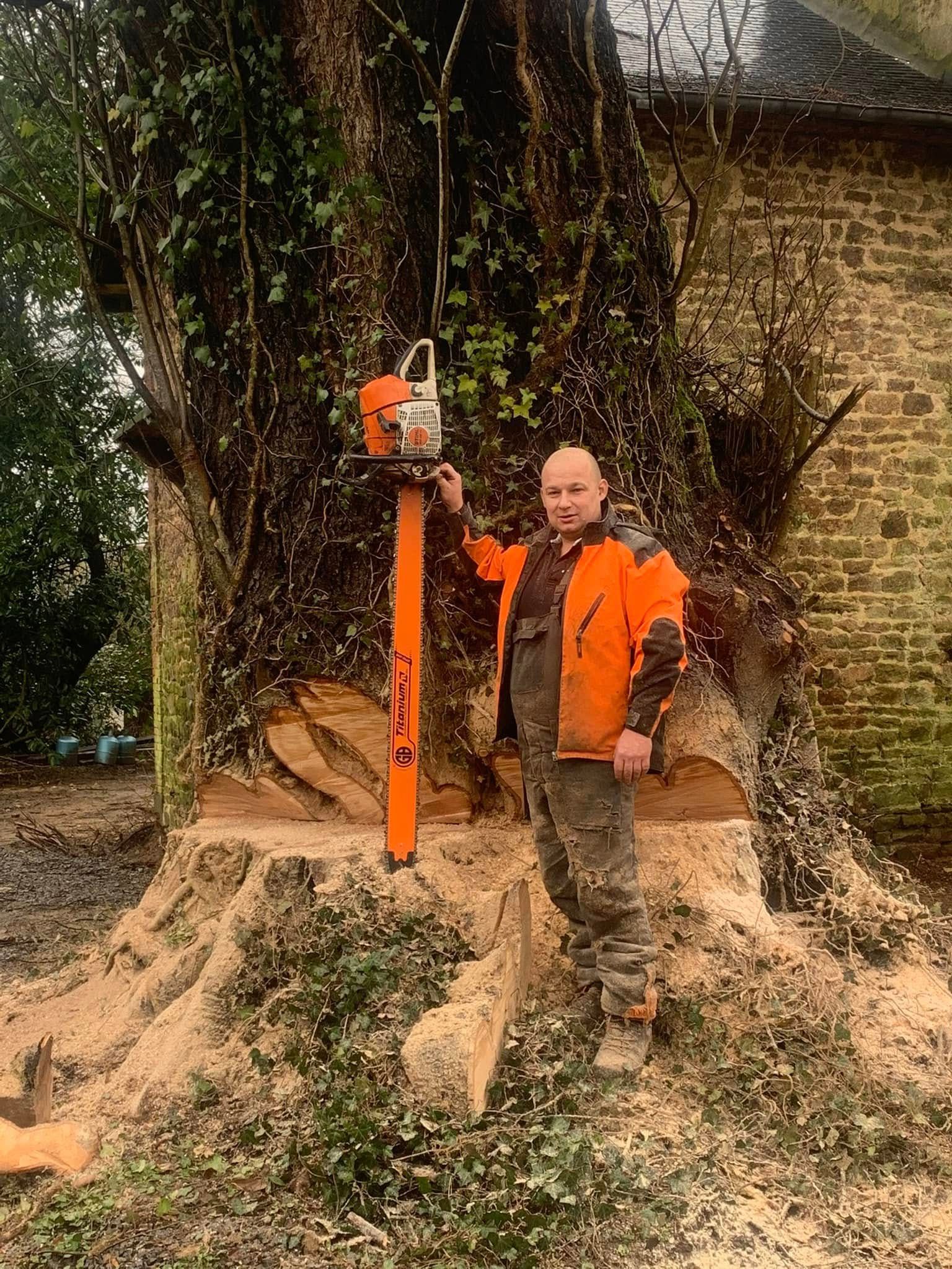 Artisan avec une tronçonneuse devant un arbre
