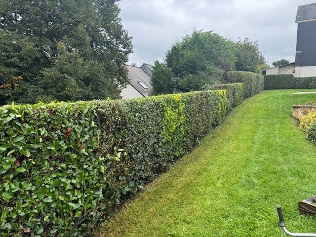 Taille d'une haie qui fait le tour d'une maison