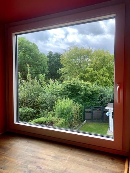Ein großes Fenster mit Blick auf einen Garten und Bäume.
