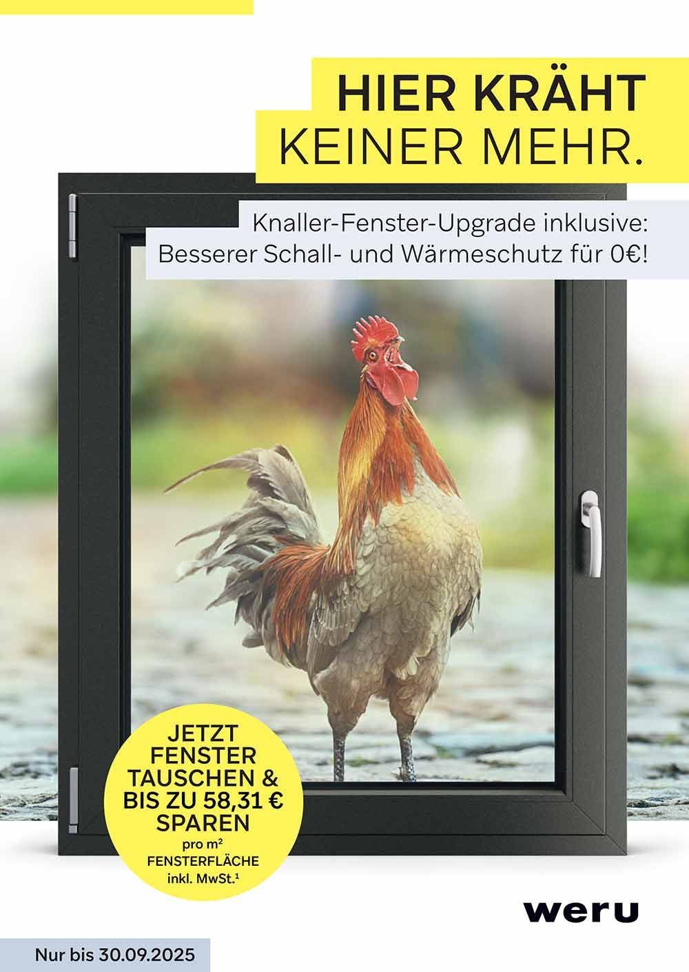 Hahn im Fensterrahmen. Werbung für neue Fenster: „Hier kräht keiner mehr“, mit Sparangebot.
