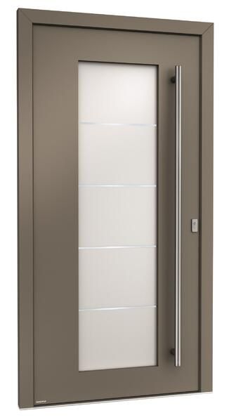 Eine Tür mit Griff und Glasscheibe auf weißem Hintergrund.