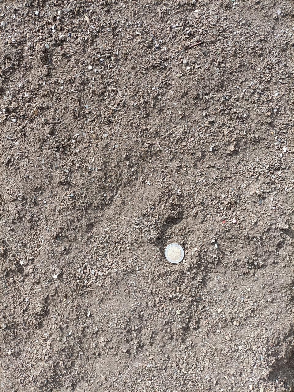 Una moneda está encima de un montón de tierra.