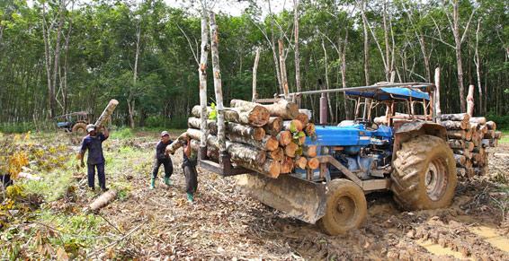Ramassage bois-tracteur