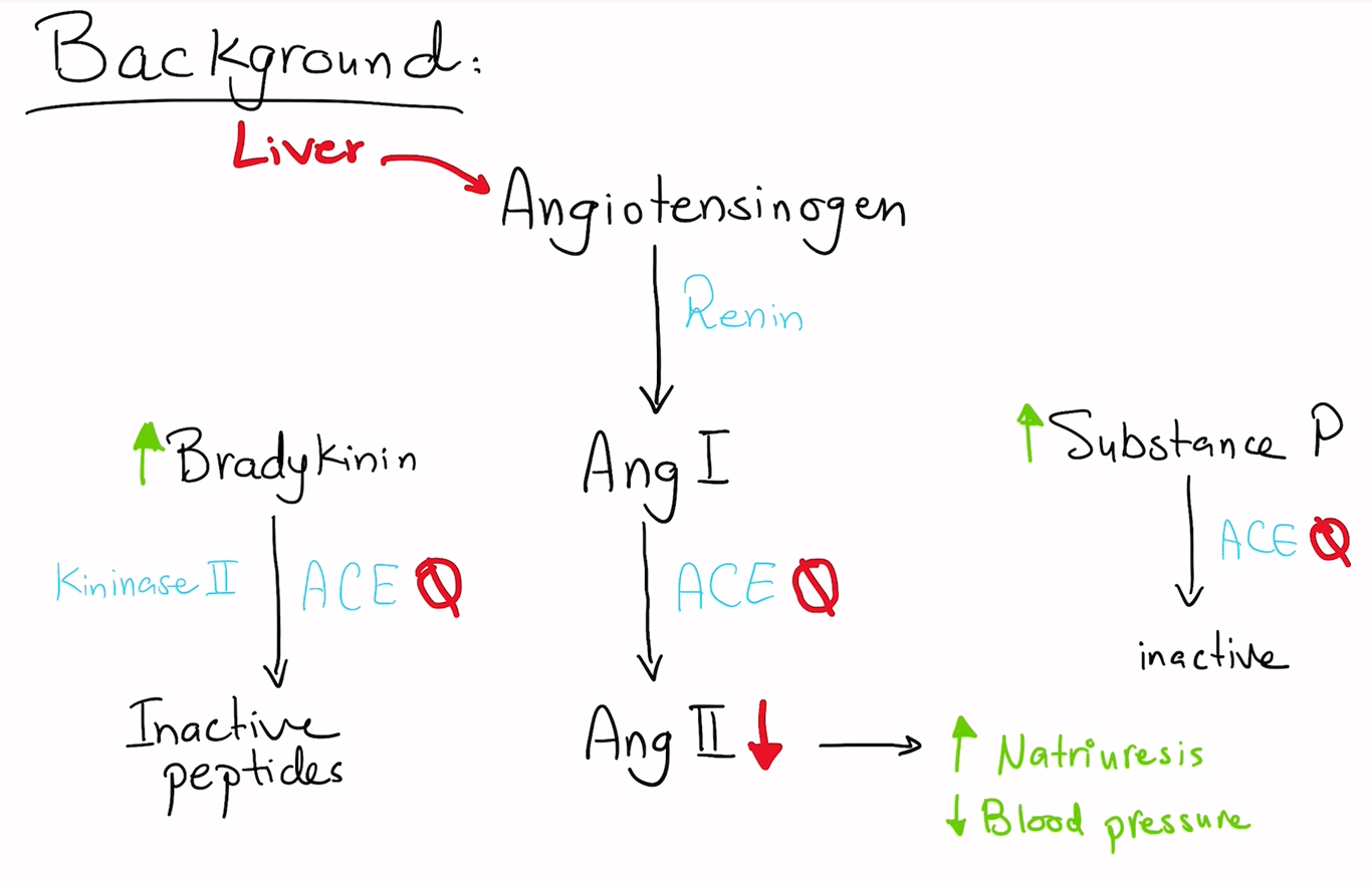 Background for Angiotensin