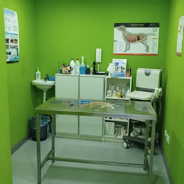 Un consultorio veterinario con paredes verdes y una mesa de acero inoxidable.